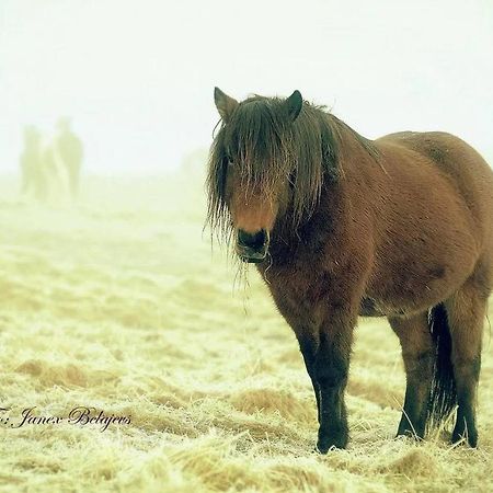 Hotel Efri-Gegnisholar Selfoss Exteriér fotografie