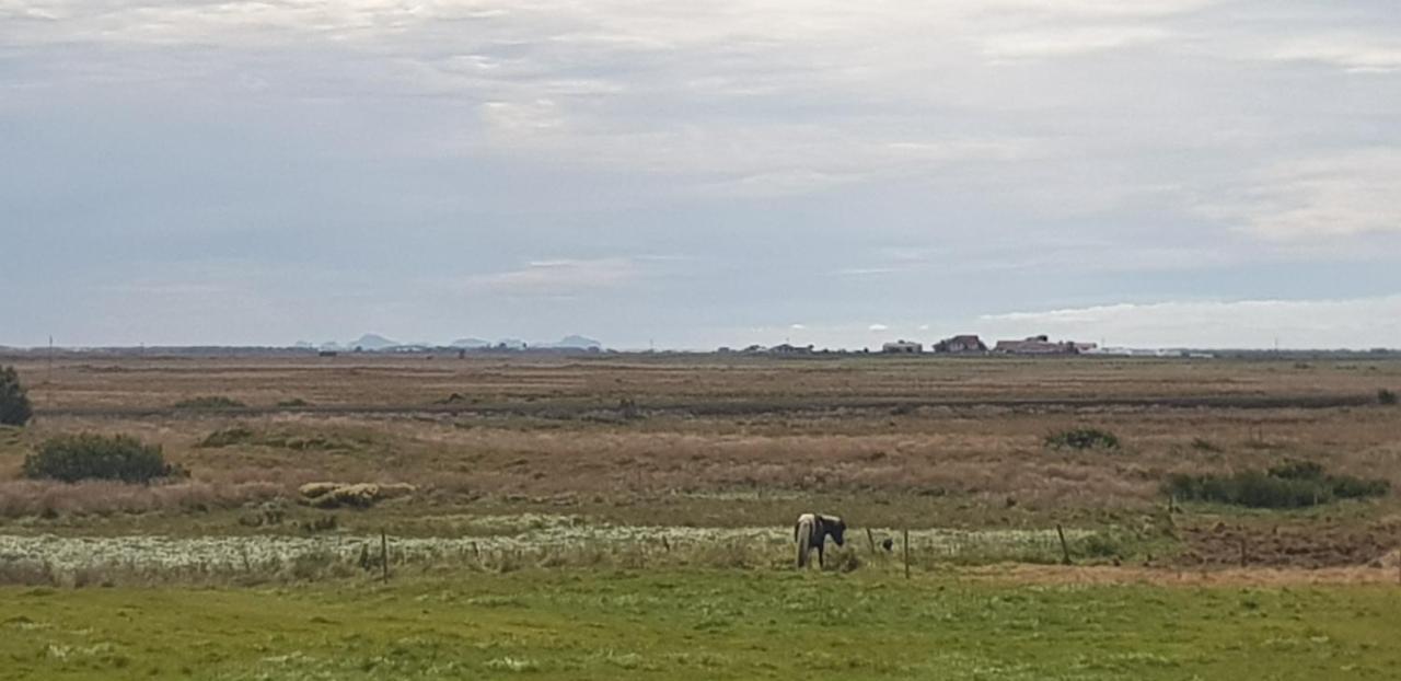 Hotel Efri-Gegnisholar Selfoss Exteriér fotografie
